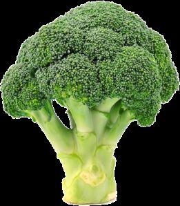 Broccoli