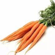 Carrots
