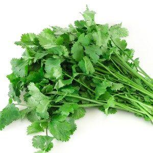 Cilantro 30 pcs