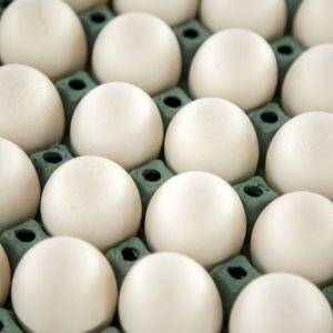 Eggs XL 30 Doz