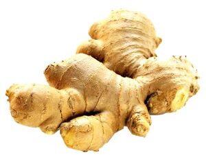 Ginger