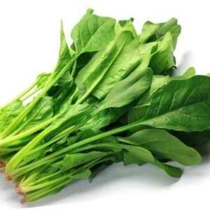 Spinach (Salad) 4 2.5LB